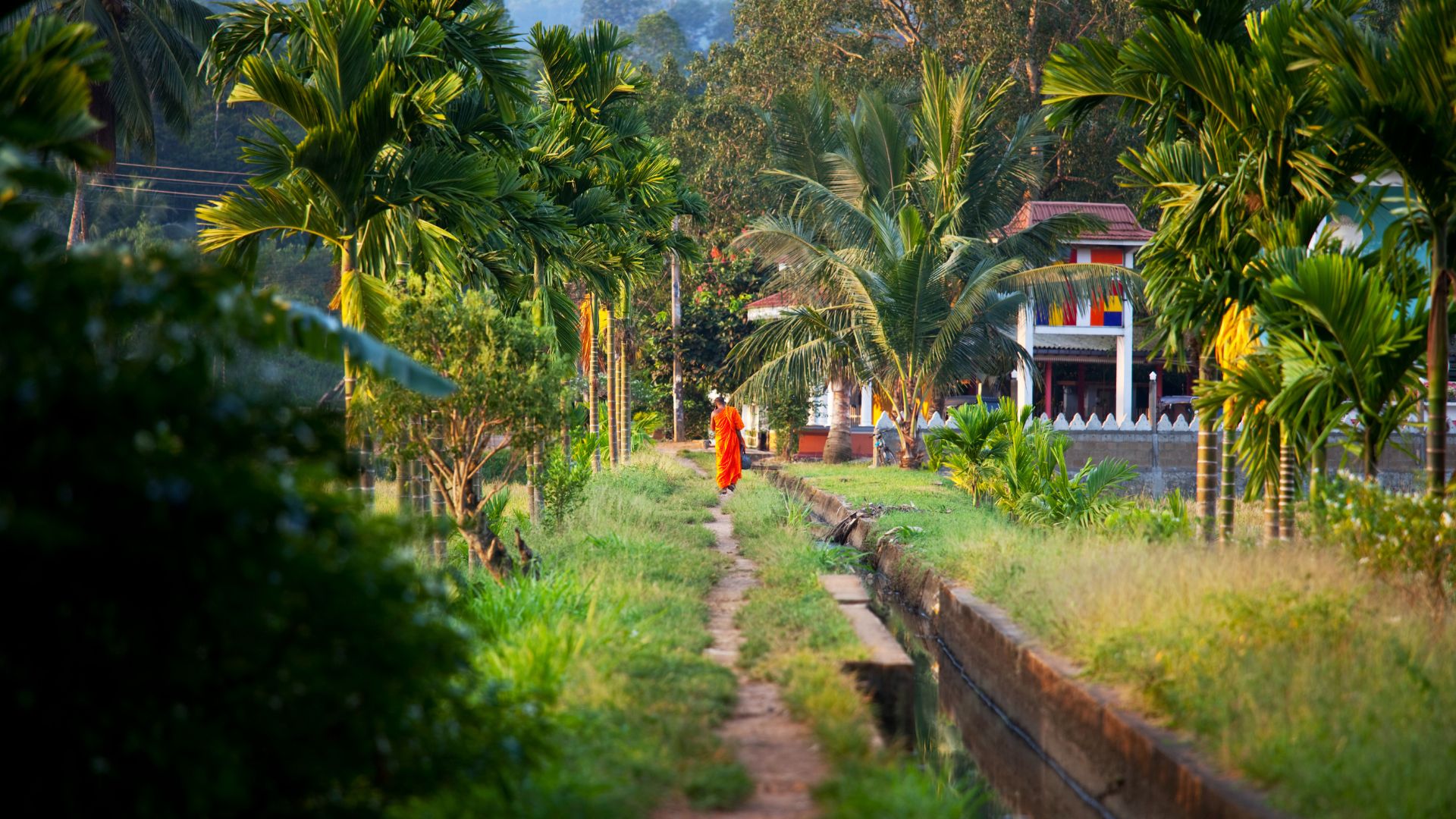 Sri Lanka tempel buddhist FLY and BiKE Fietsreizen