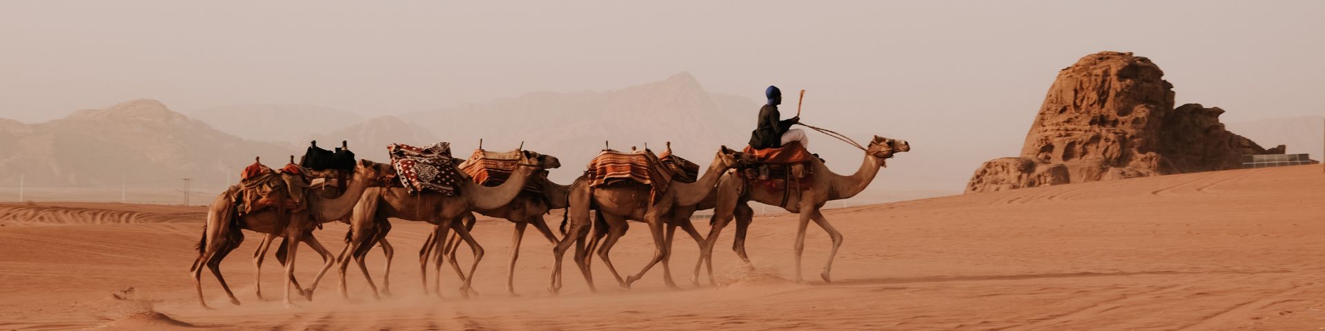 Jordanie in woestijn reis met FLY and BiKE